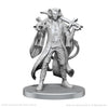 Critical Role Unpainted Minis - Mollymauk Tealeaf & Caduceus Clay [90790]